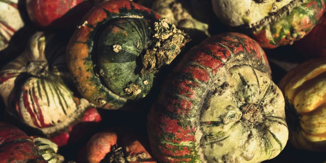 Родители школьников жалуются на отвратительное питание в учреждении под Новосибирском