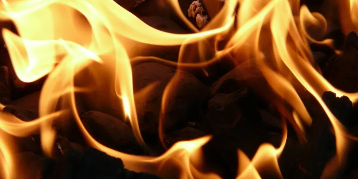 В Новосибирской области за неделю в пожарах погибли пять человек