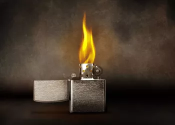 В Новосибирской области за неделю зафиксировали 60 пожаров