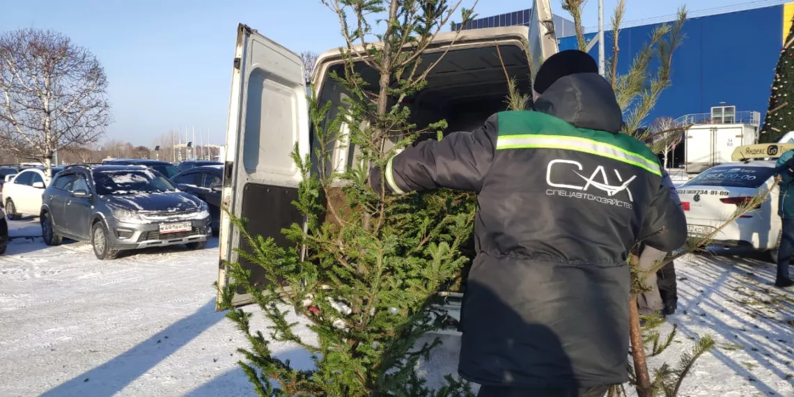 Елки измельчили и отправили в центр помощи животным в Новосибирске
