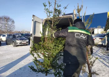 Елки измельчили и отправили в центр помощи животным в Новосибирске