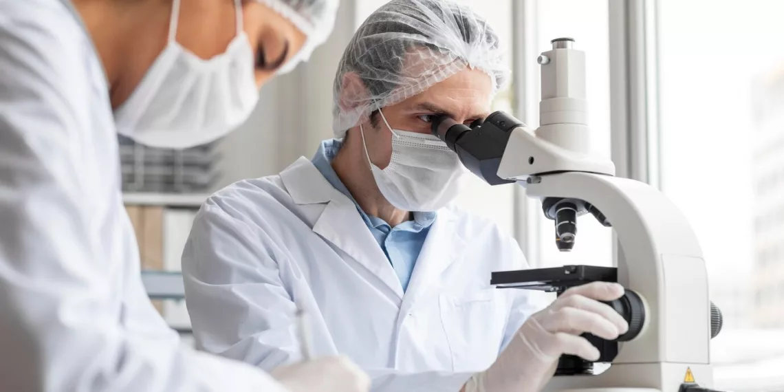 Ученые из Новосибирска вырастили искусственный мозг, чтобы изучить умственную отсталость