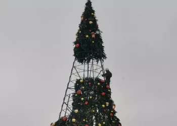 Убирать новогоднюю елку и украшения начали в Театральном сквере в Новосибирске