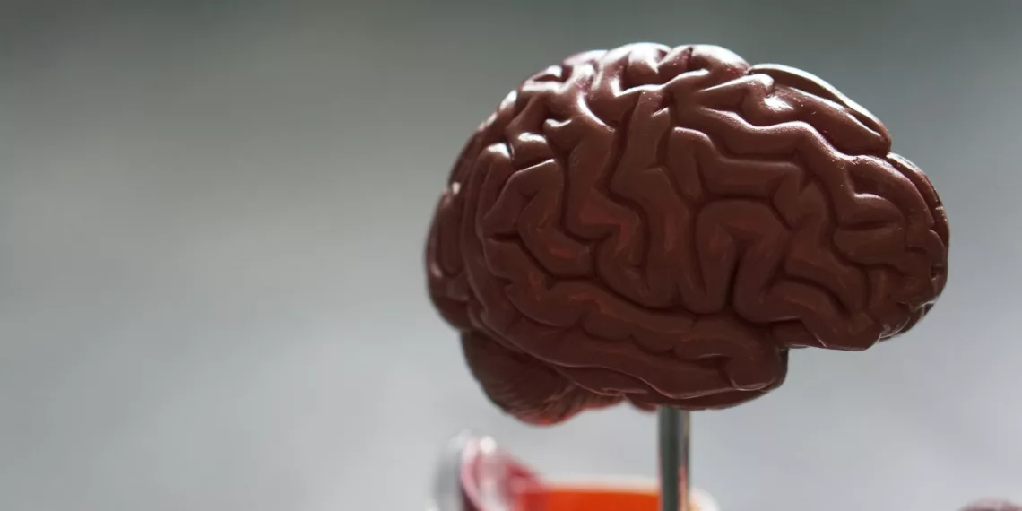 Кисту с паразитом внутри извлекли из мозга пятилетней в Новосибирске