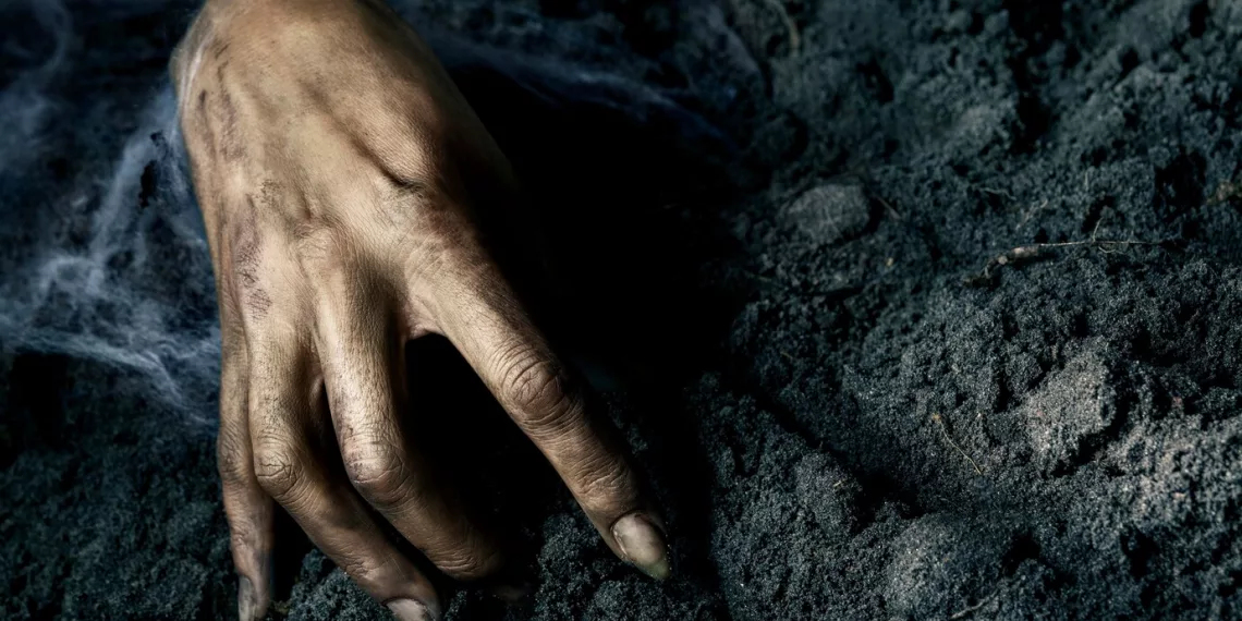 В Новосибирске в лесном массиве нашли труп мужчины