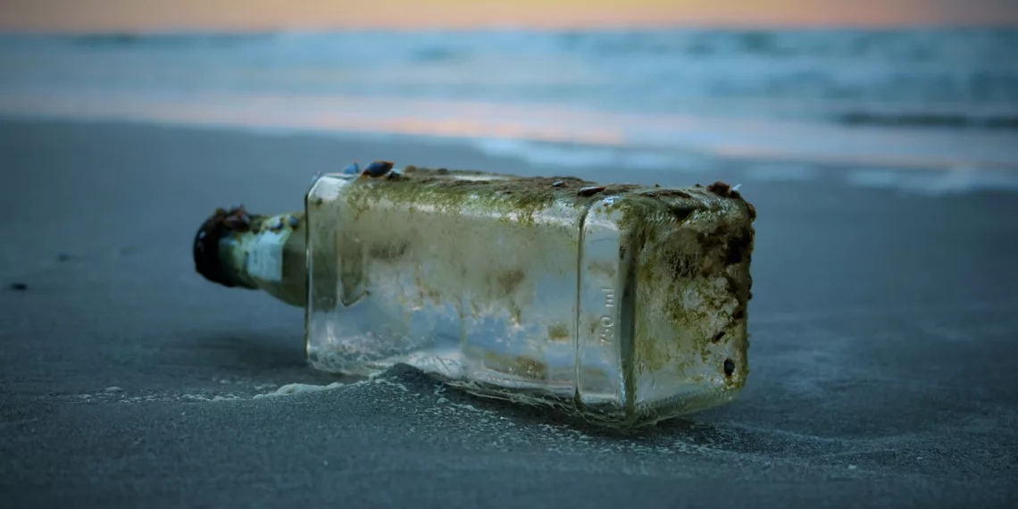 Мусорные контейнеры начнут устанавливать на несанкционированных пляжах Новосибирской области