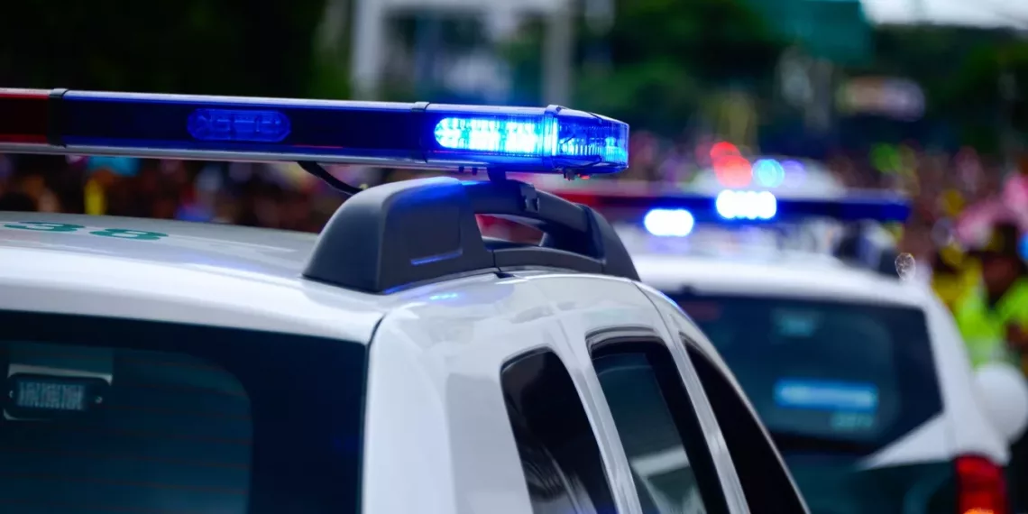 В Новосибирской области полицейские спасли замерзающую на трассе семью