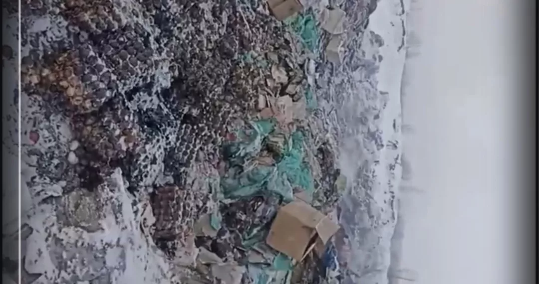 В сибирском регионе нашли огромную свалку куриных яиц