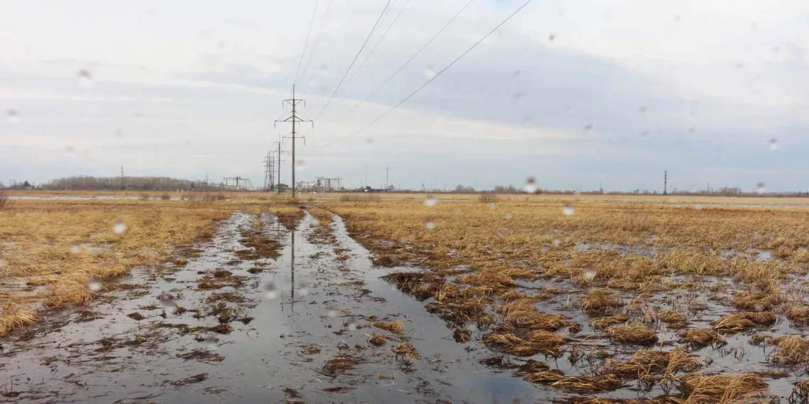 Технический директор АО «РЭС» подтвердил готовность электросетей к прохождению паводкового и пожароопасного периодов