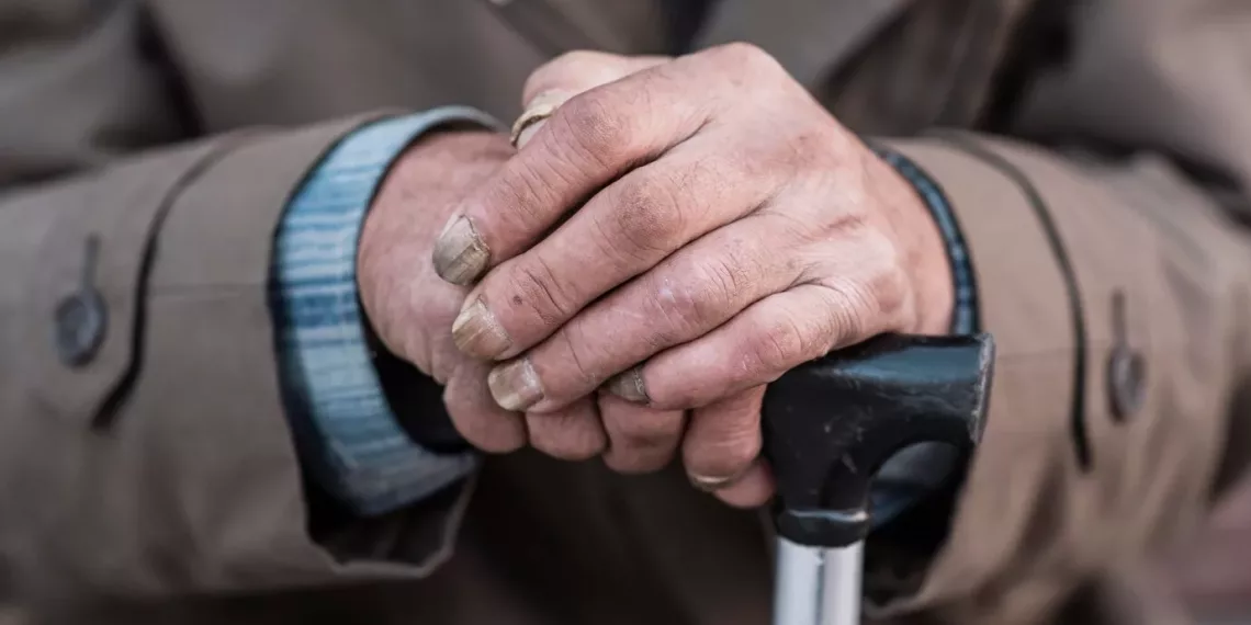 Пожилые жители Новосибирской области получат доплату к пенсии за находящихся на их иждивении правнуков