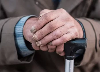 Пожилые жители Новосибирской области получат доплату к пенсии за находящихся на их иждивении правнуков