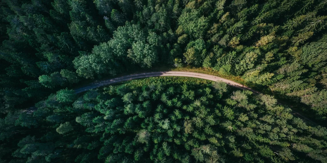 Карту дорожных работ опубликовали в Новосибирской области