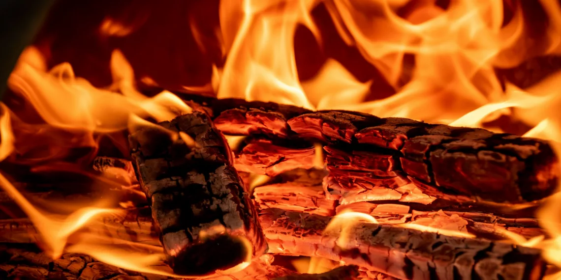 Три самых пожароопасных района Новосибирска в 2024 назвала мэрия