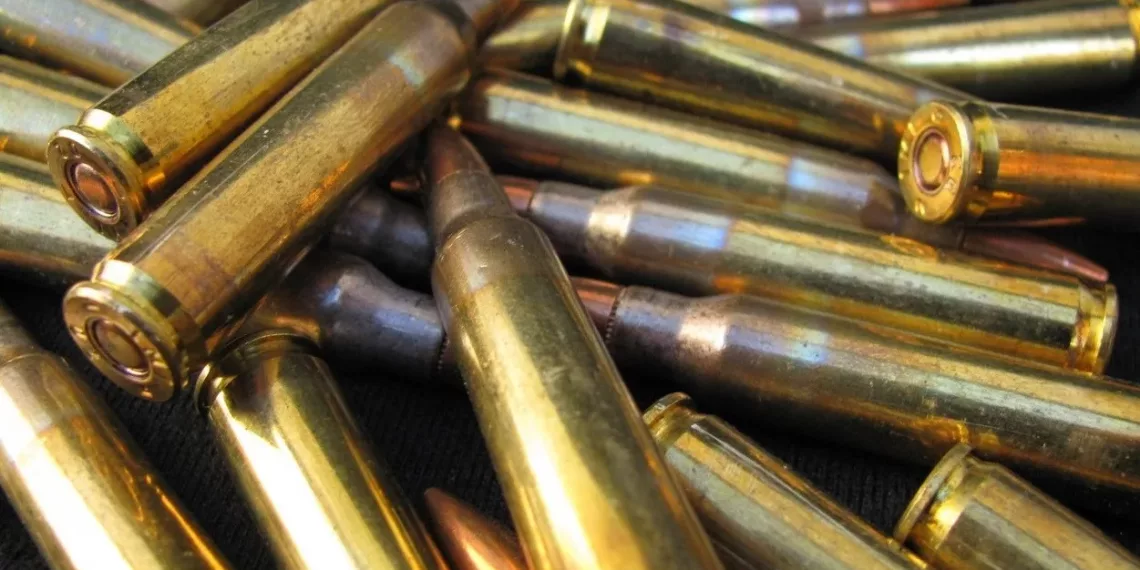 В Новосибирской области за десять дней выявили 37 фактов незаконного оборота оружия