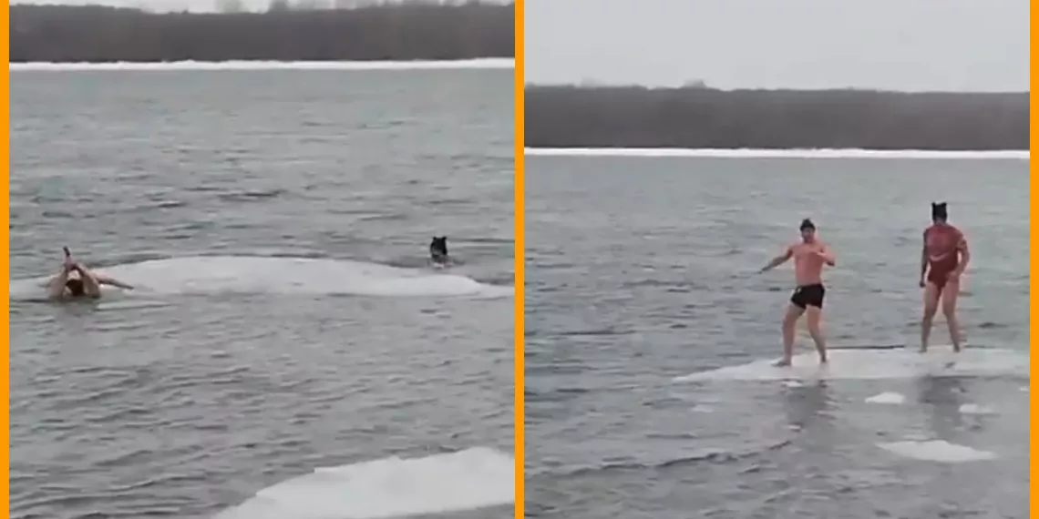 Новосибирцы совершили экстремальный заплыв на льдине