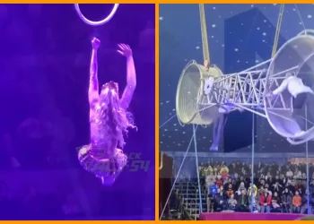 «Цирковые происшествия»: двое новосибирских акробатов упали с высоты во время выступлений