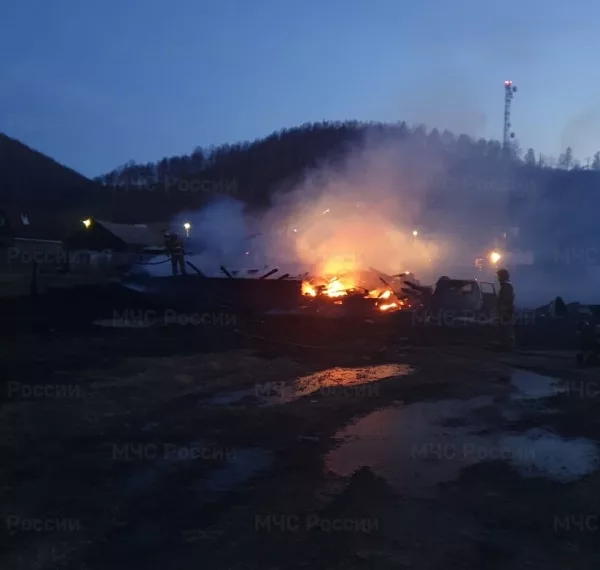 При пожаре в Иркутской области получила травмы женщина, решившая вернуться в горящий дом за личными вещами