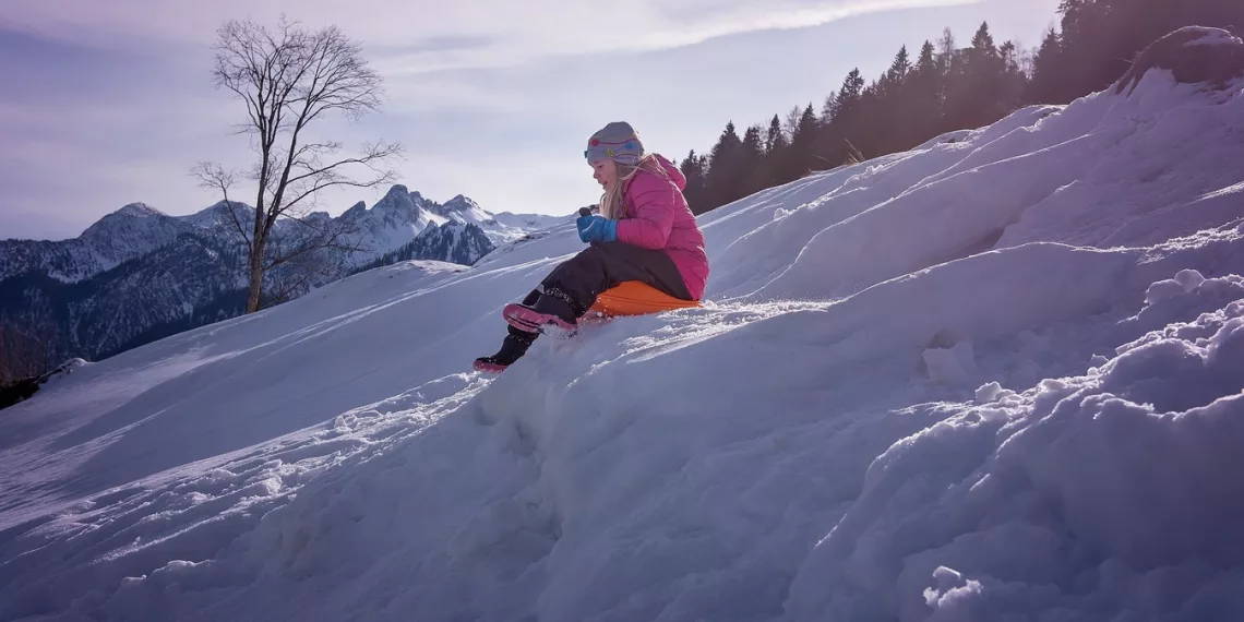 В Искитиме школьницы на «плюшке» пострадали от удара о дерево — одна из них попала в реанимацию
