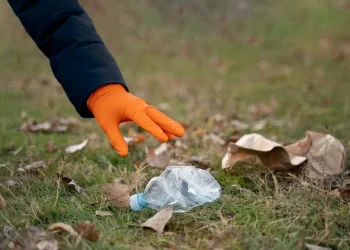 Штрафы за мусор на природе предложили ввести депутаты в Новосибирске