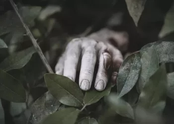 Труп мужчины-«карлика» нашли под Новосибирском