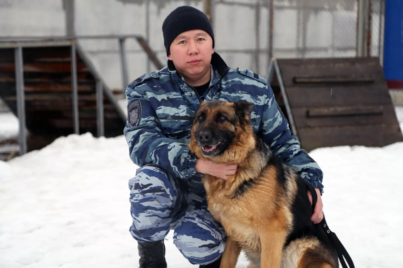 Спустя пять лет хозяин и собака воссоединились в Республике Алтай | НДН.Инфо