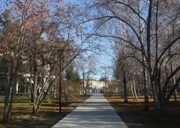 Девять зеленых зон Новосибирска получили «имена»