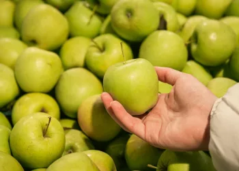 Сибиряка сняли с рейса Томск — Москва за то, что он кидался яблоками в пассажиров