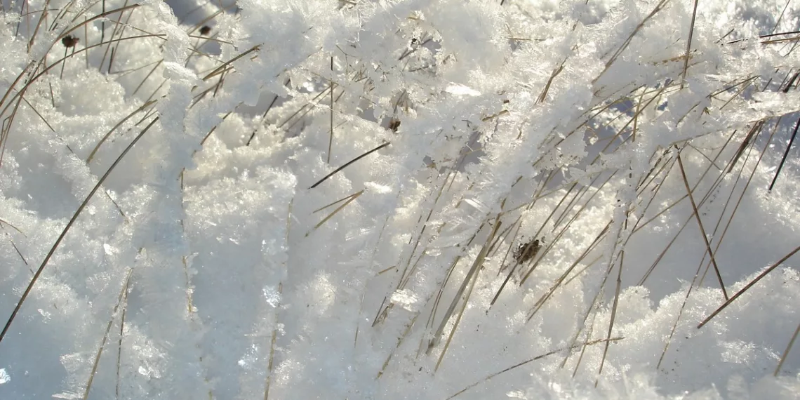 В Новосибирске ожидается небольшое похолодание и снегопад