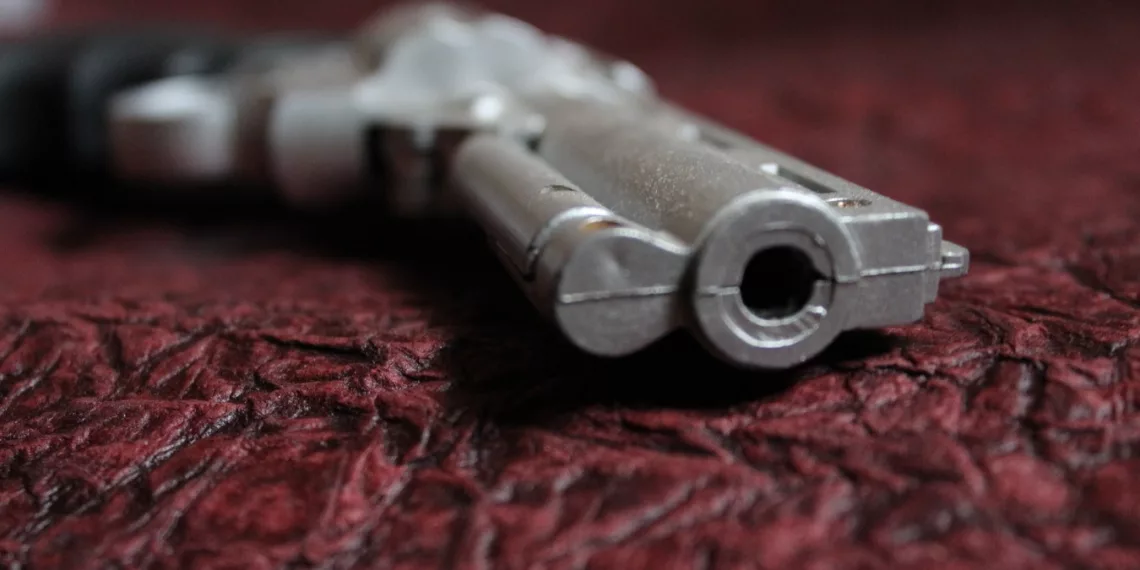 В Бердске неизвестный стрелок устроил охоту на мусоровоз