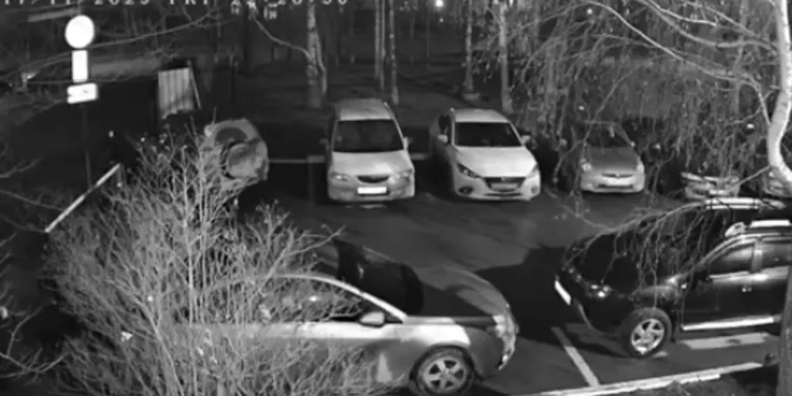 В Новосибирске будут судить горе-водителя, устроившего смертельное ДТП