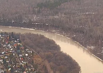 В Новосибирской области остаются подтопленными 146 участков