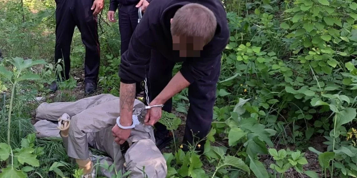 Житель Черепановского района жестоко расправился с собутыльницей и закопал её тело в лесу