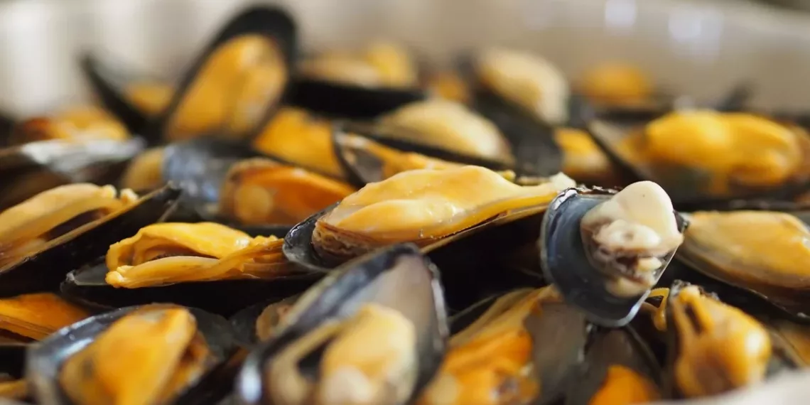 Новосибирец пойдет под суд за банку мидий