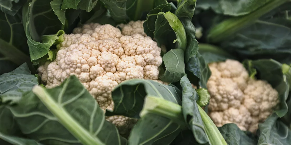 Рекомендации по апрельскому рациону питания опубликовал Роспотребнадзор