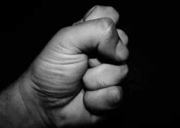 СК заинтересовался избиением участника СВО в Новосибирской области