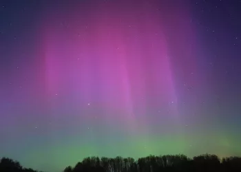 Астрофотограф Поляков запечатлел северное сияние под Новосибирском