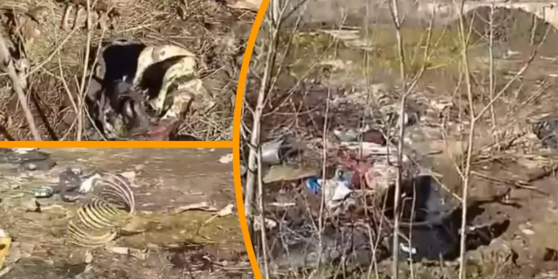 В Новосибирске берег озера Собачье превратился в свалку