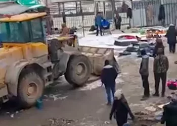 Уличных торговцев прогнал трактор в районе Гусинобродского шоссе