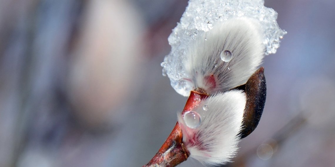 Новосибирцев ожидает резкое похолодание в начале следующей недели