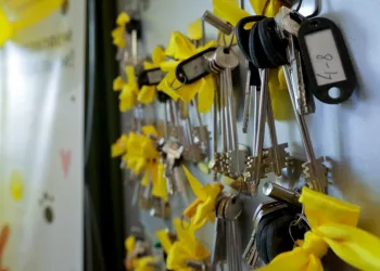 Более 1,5 млрд выделено на квартиры для детей-сирот в 2024 году в Новосибирске