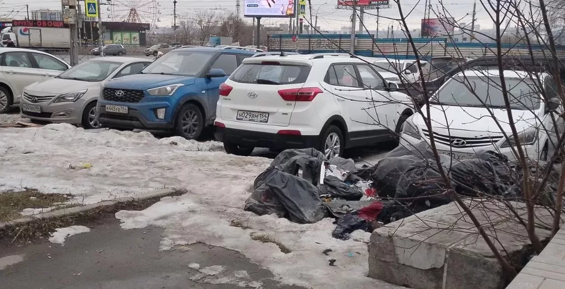 Замминистра уволился после прокурорской проверки в минприроды Новосибирской области