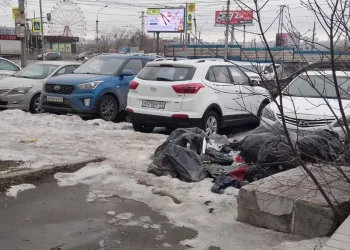 Замминистра уволился после прокурорской проверки в минприроды Новосибирской области