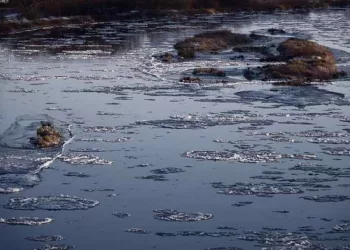 Дачные участки затопило паводком в пяти районах Новосибирской области