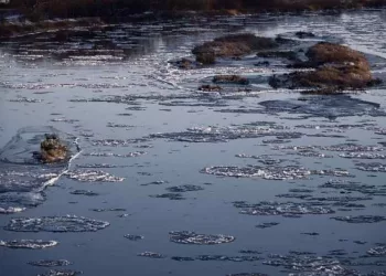 Почти 120 участков остаются подтопленными из-за паводка в Новосибирской области