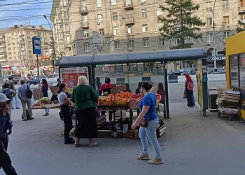 Проверку незаконной торговли мигрантов проведет СК в Новосибирске