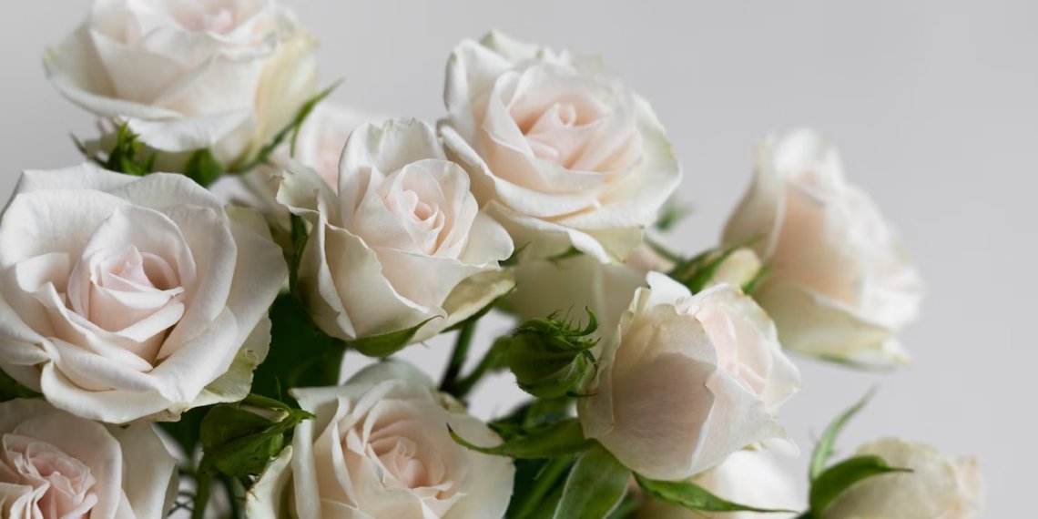 Зараженные гвоздики и розы привезли в Новосибирск