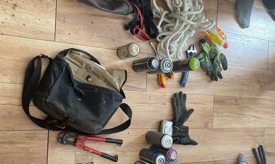 В Новосибирске задержали вандалов, пытавшихся изрисовать вагоны метро