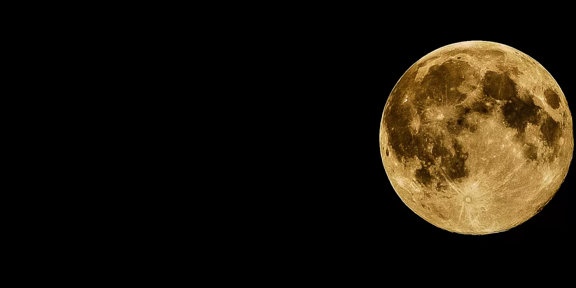 Когда садить рассаду в грунт – лунный календарь подскажет