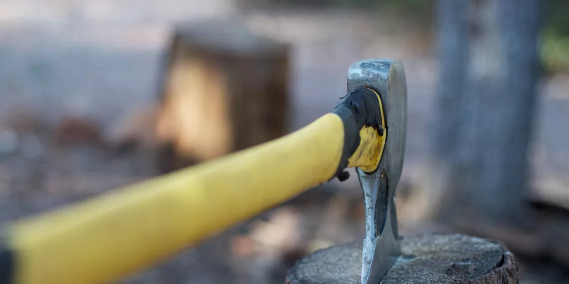 В Новосибирске прекратили вырубку защитных лесов площадью 352 га