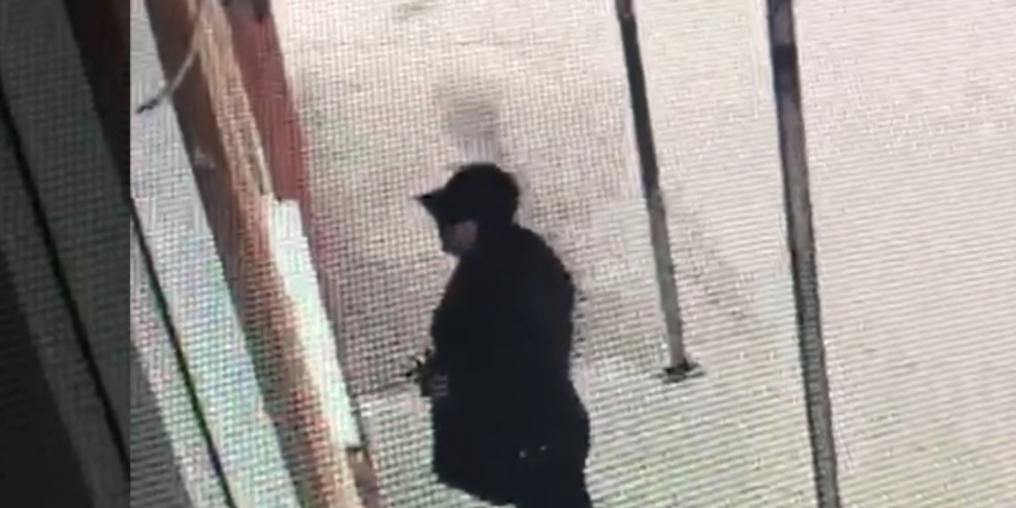 В Новосибирске лжеполицейская обокрала пенсионерку на более чем полмиллиона рублей